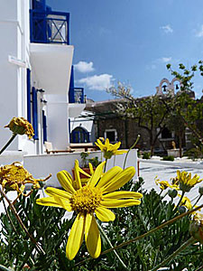 Hotel Captain Manolis, Parikia, Paros, Courtyard