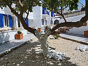 Hotel Captain Manolis, Parikia, Paros, Greece